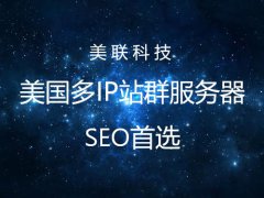 美國網站服務器具有優勢的網站類型